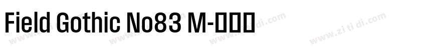 Field Gothic No83 M字体转换